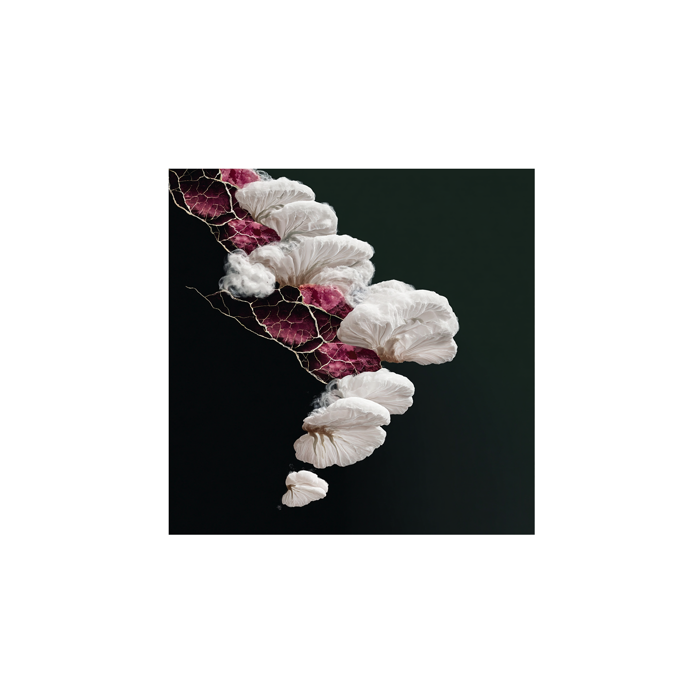 Lena Visuals - Salt Bloom
