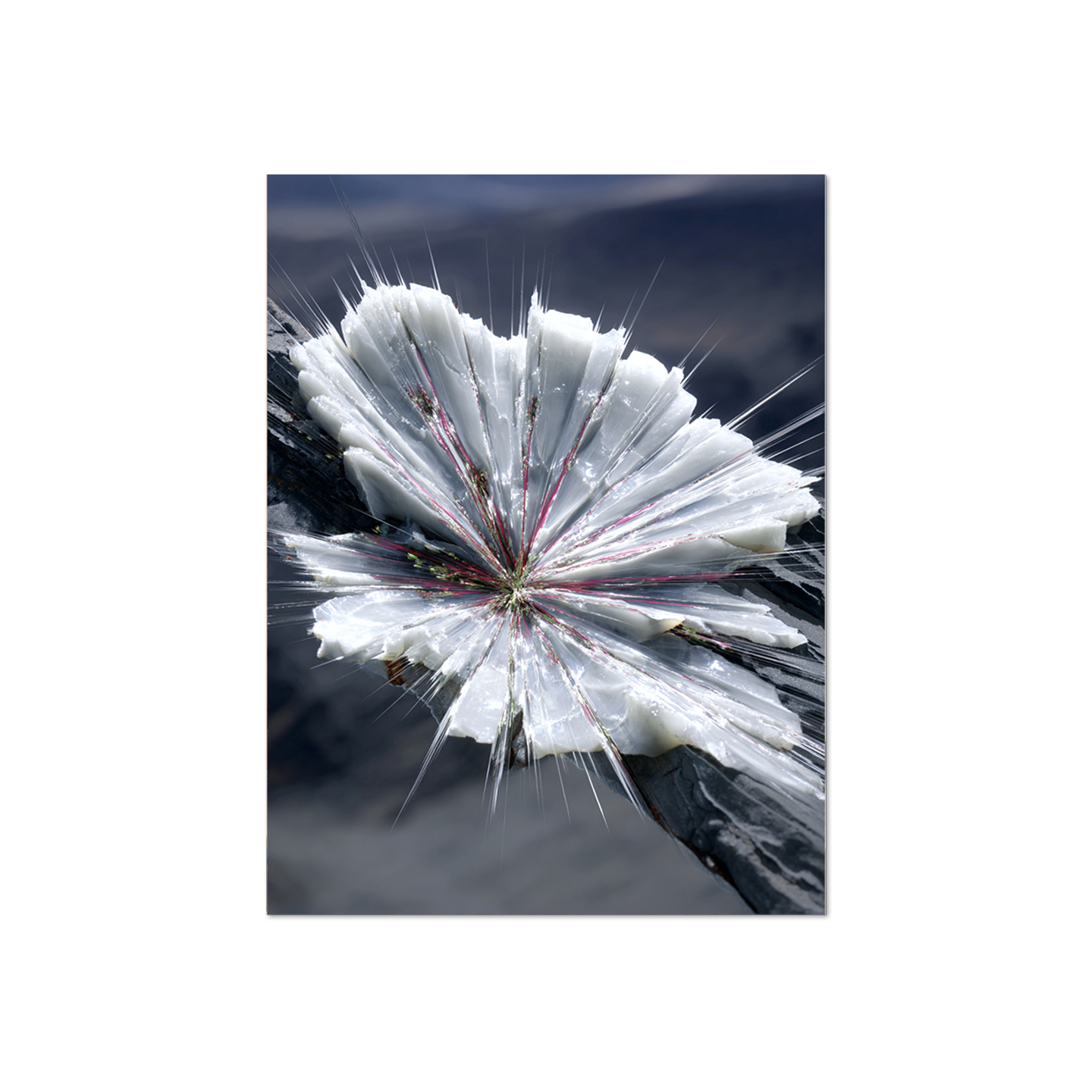 Lena Visuals - The Edge of Reflection