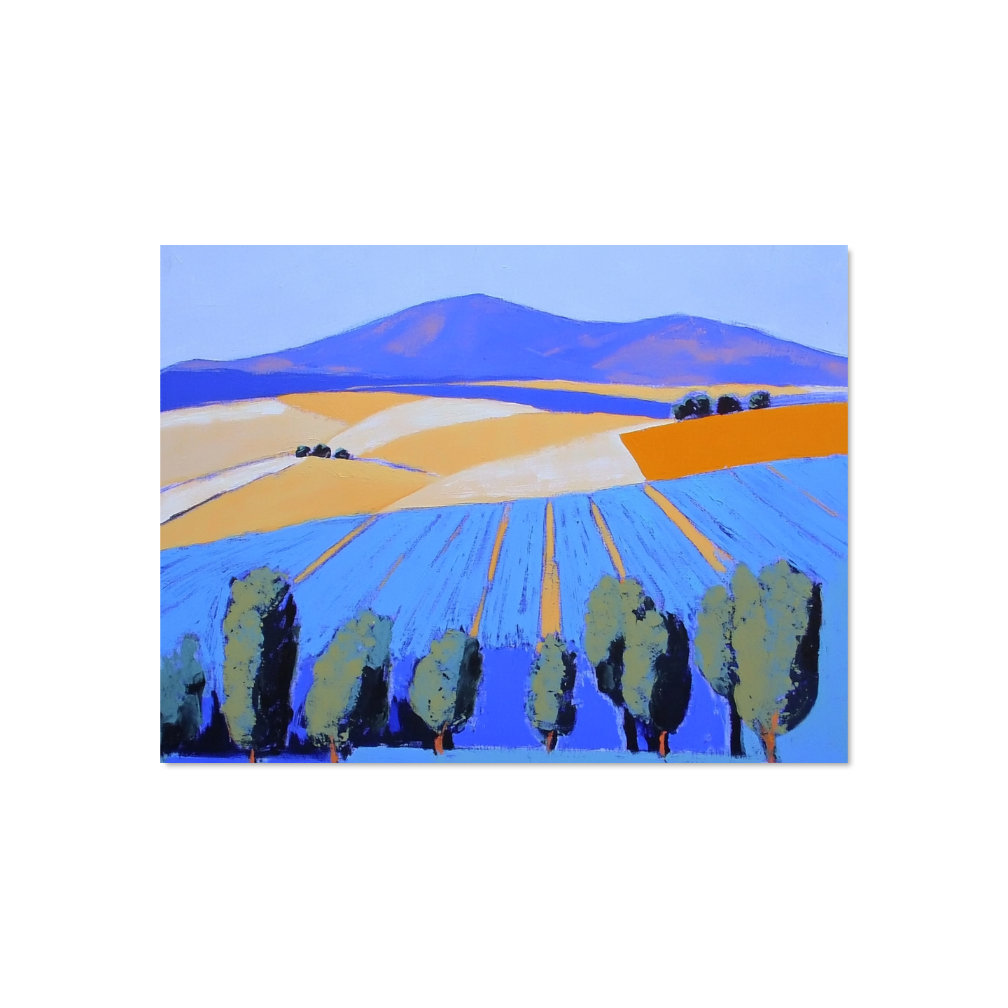 Emil Kovács - Summer Fields