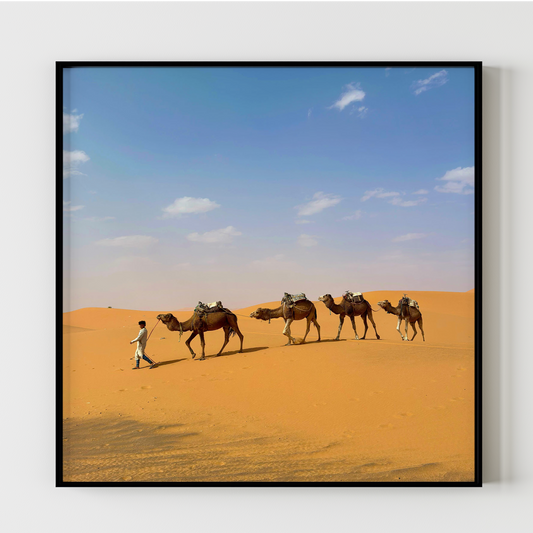 Theivaneide - MOROCCO: Walking in The Sahara