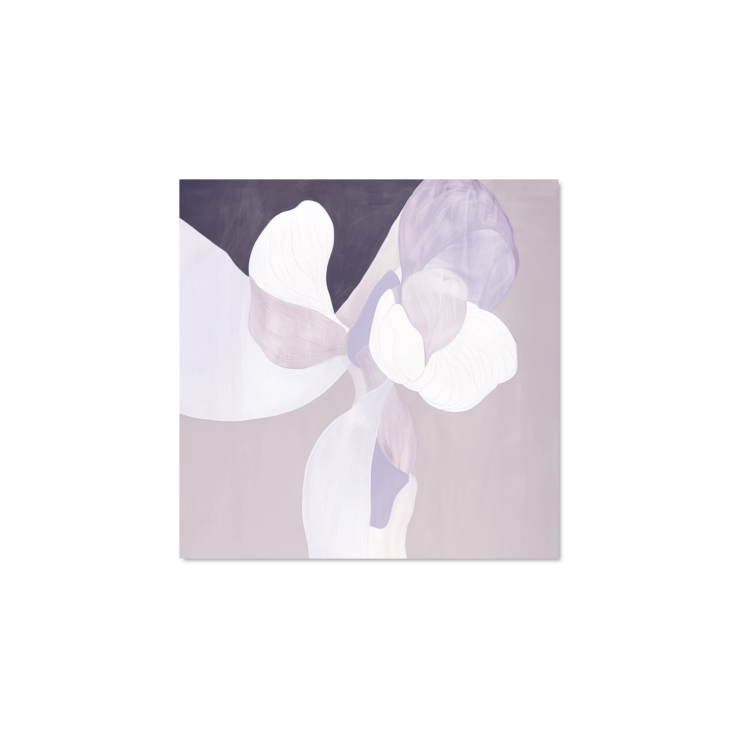 Finn Calloway - Whispers in Lilac Corners