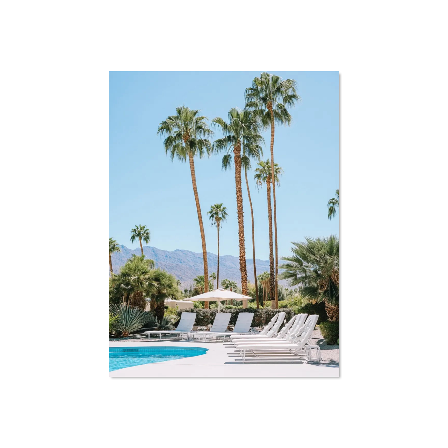 Gabriel Costa - Palm Springs Corners