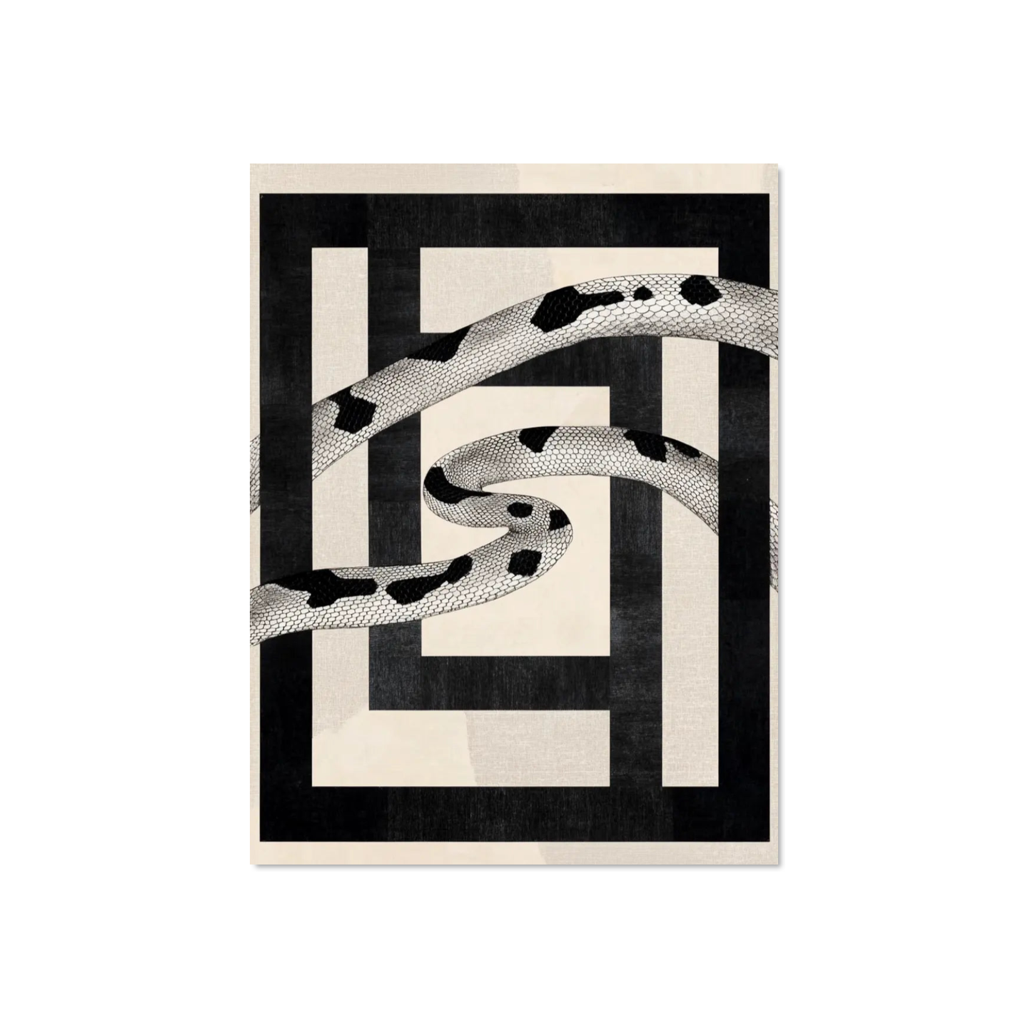 Ksenia Volkov - Lines of Conflict Corners
