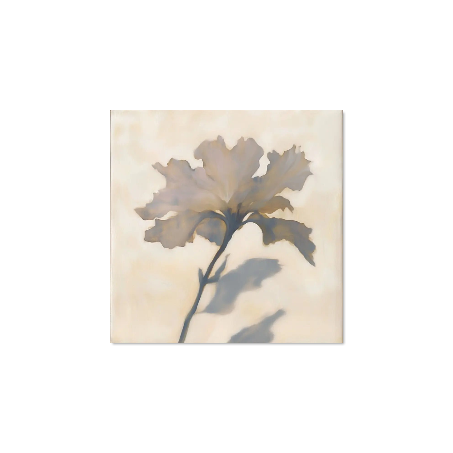 Livia Morais - Delicate Reflections Corners