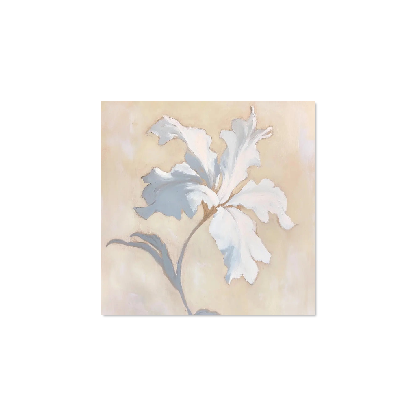 Livia Morais - Petals of Frost Corners