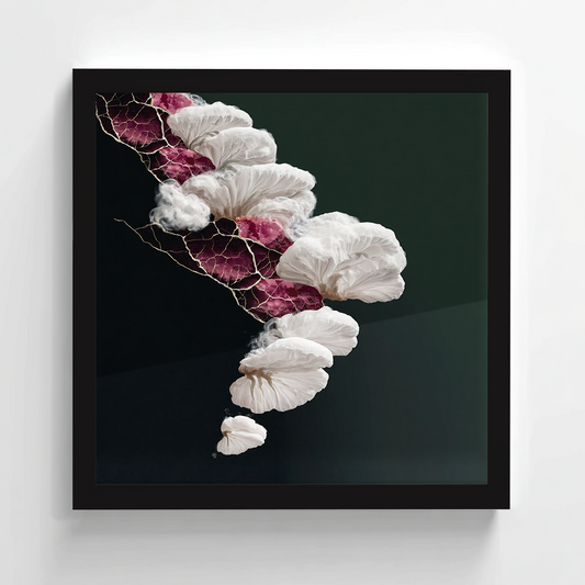 Lena Visuals - Salt Bloom