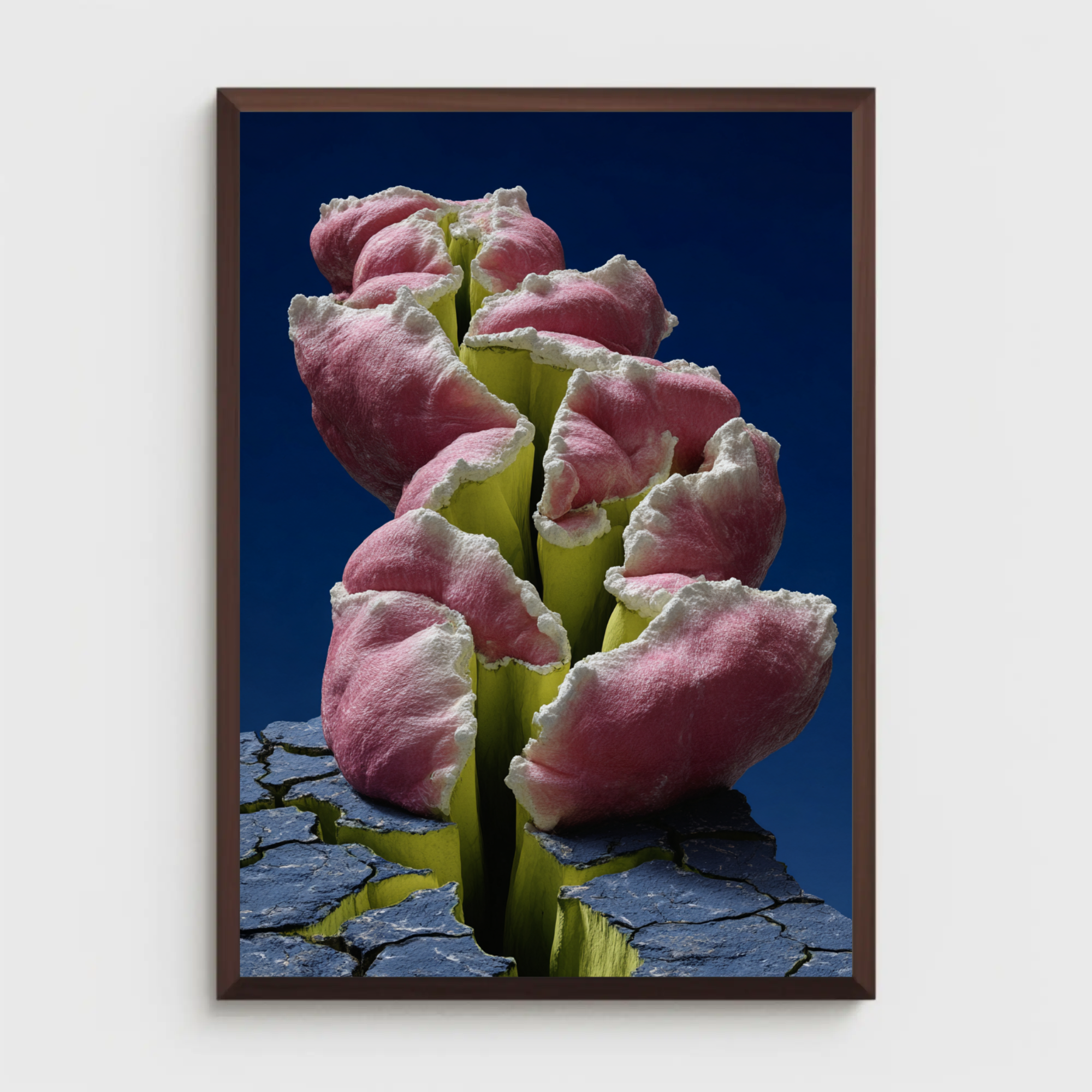 Lena Visuals - Crack Bloom