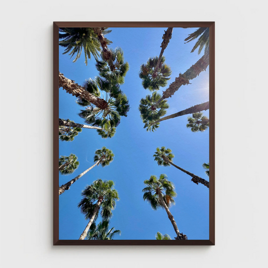 Theivaneide - MOROCCO: Miami Vibes