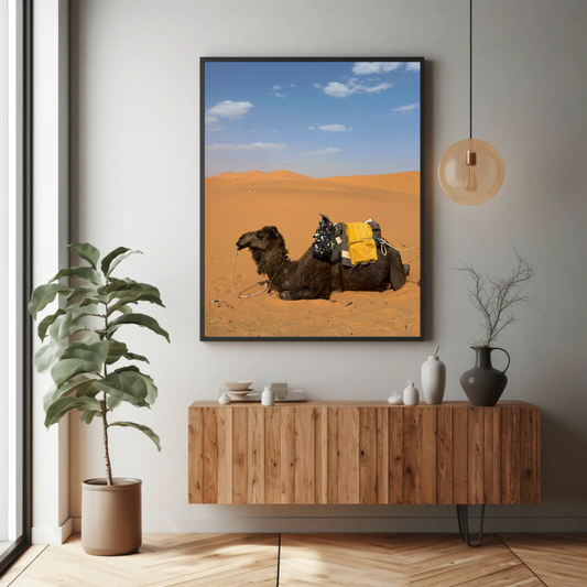 Theivaneide - MOROCCO: Camels Waiting