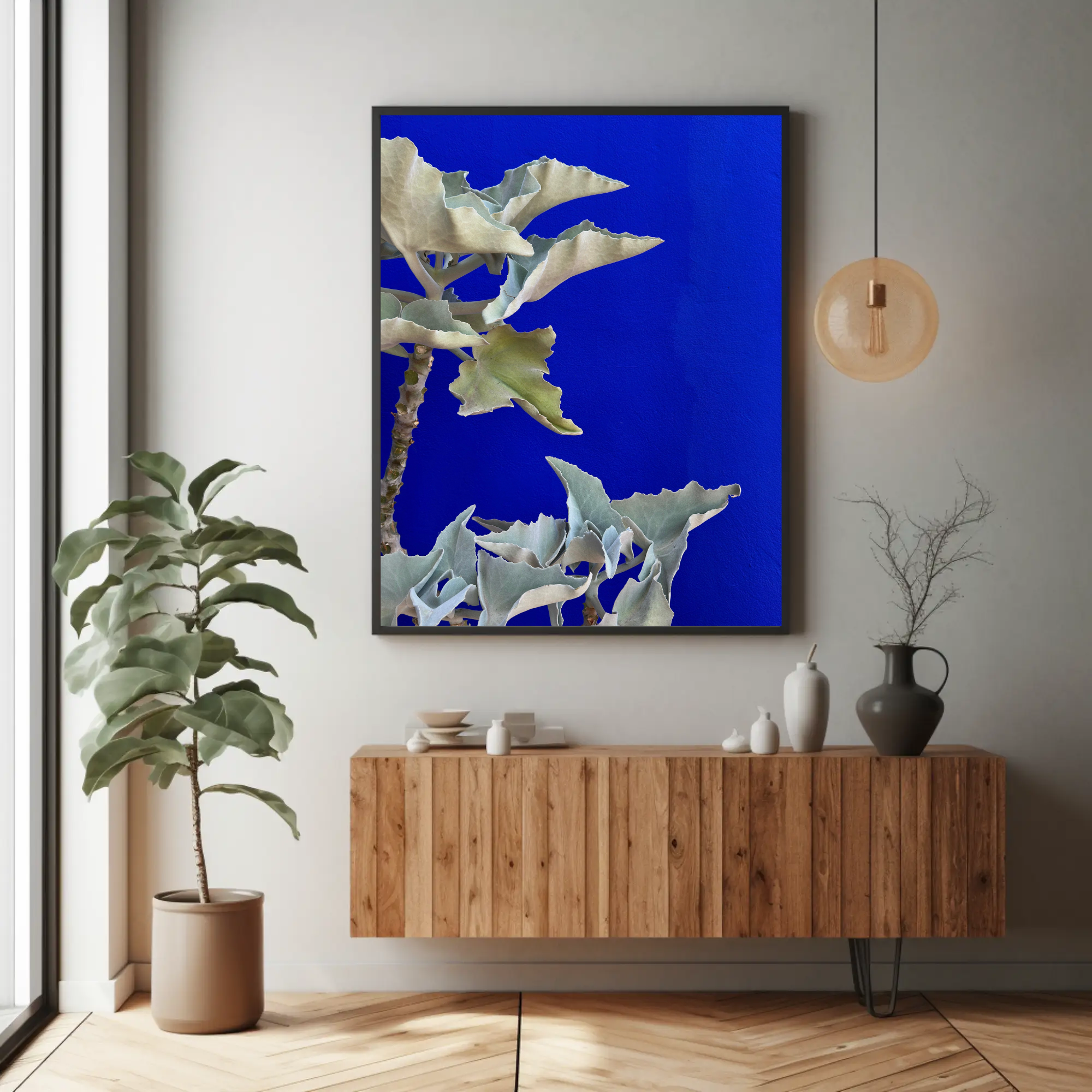 Theivaneide - MOROCCO: Blue Kalanchoe