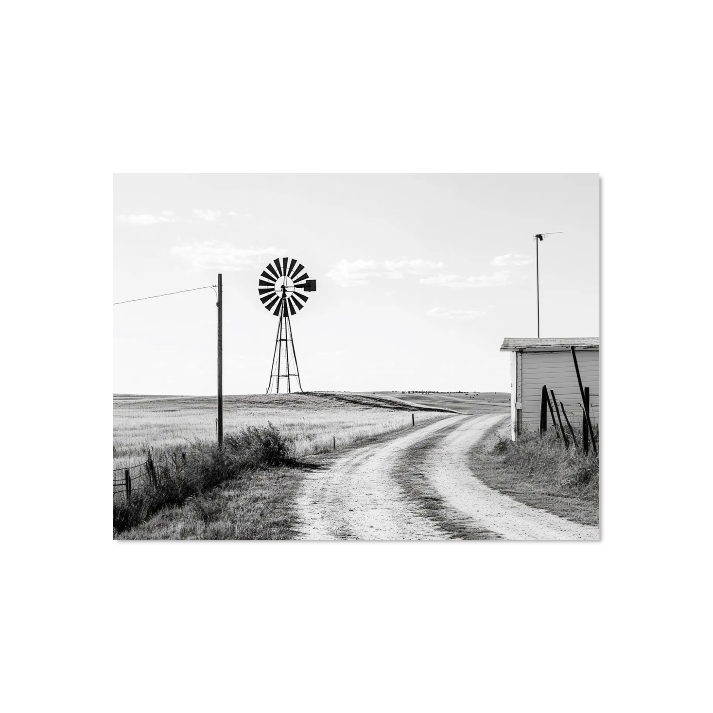 Nina Silva - Landscape N.94 Corners
