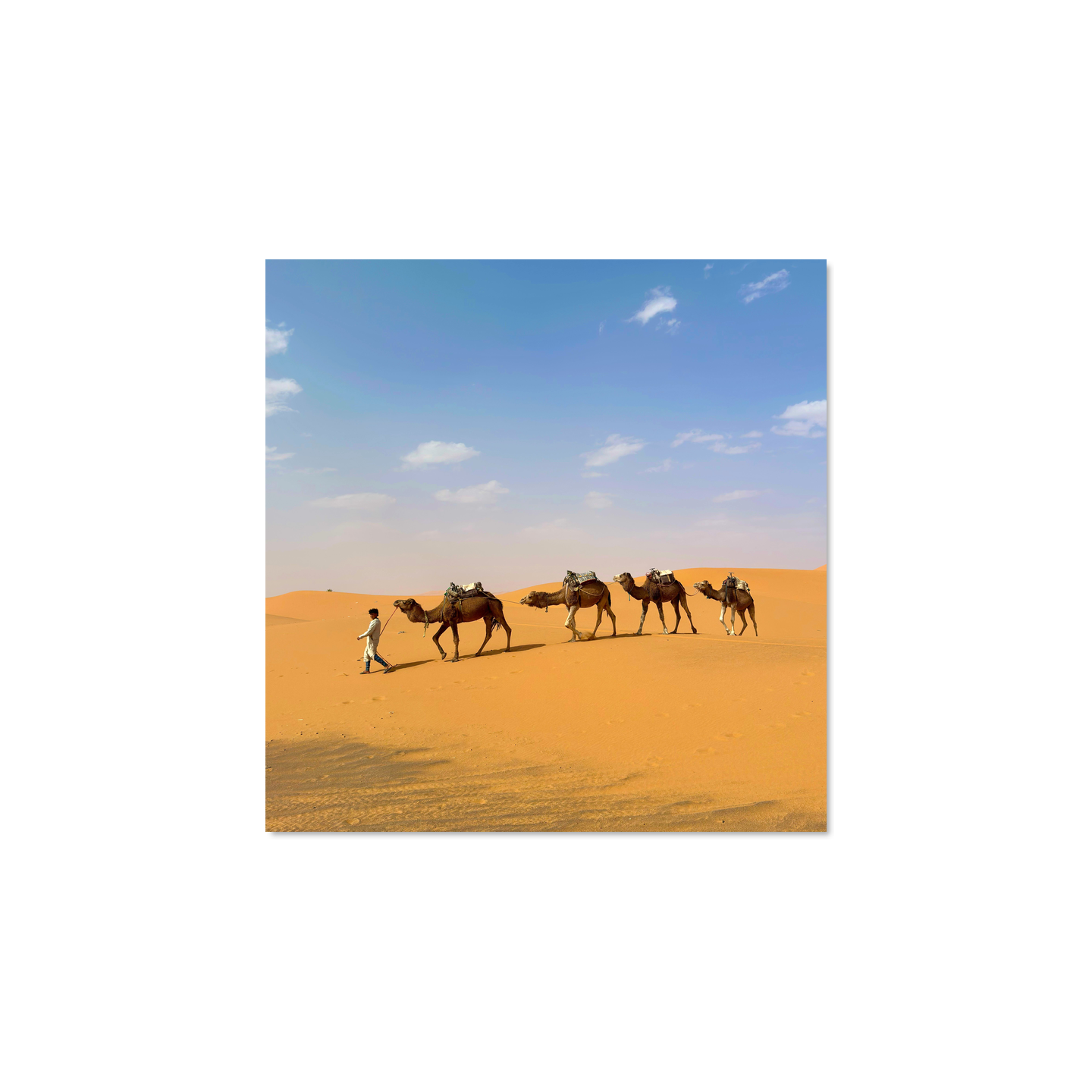 Theivaneide - MOROCCO: Walking in The Sahara