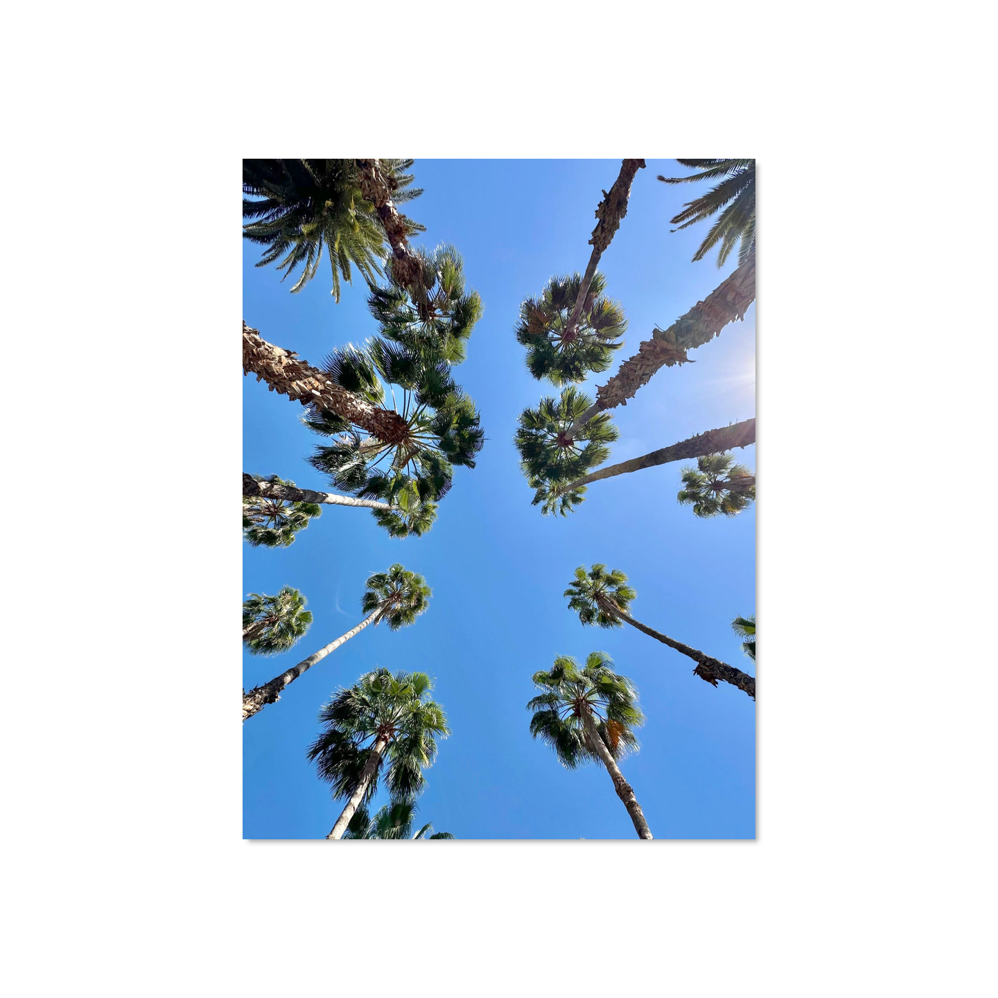 Theivaneide - MOROCCO: Miami Vibes