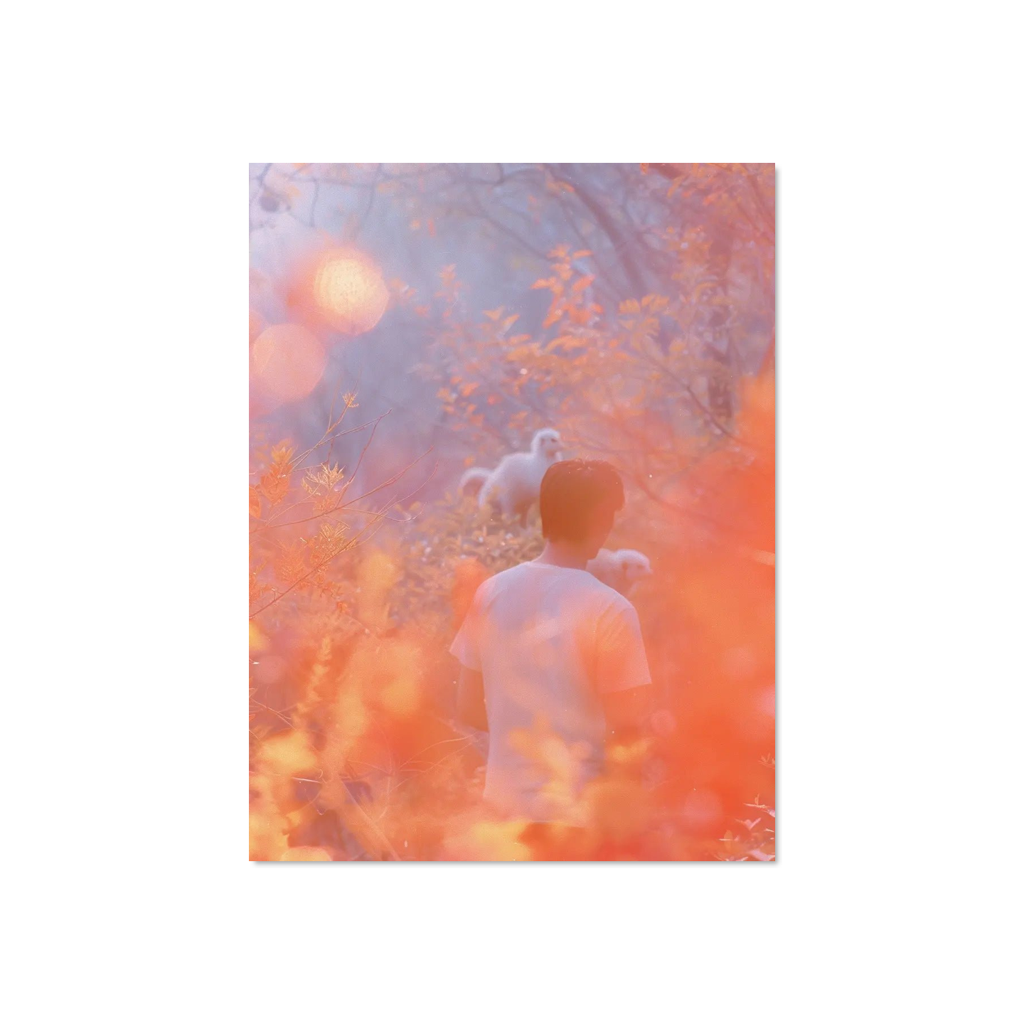 Theo Lark - Silent Fields Corners